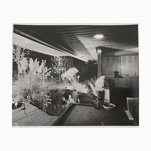 Julius Shulman, Edificio de Richard J. Neutra, 1959, Lámina fotográfica