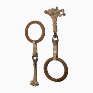 Sport Gymnastic Rings, Set of 2