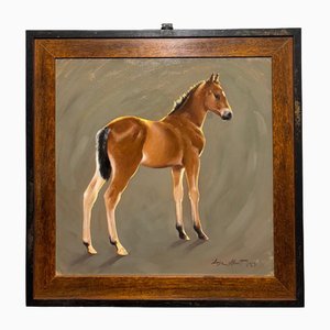 Luisa Albert, Foal, Oil on Canvas, 2023, Framed