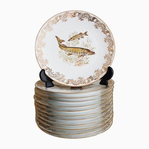 Piatti da pesce in porcellana di Limoges, Francia, set di 13