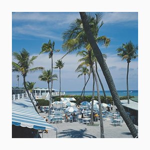 Slim Aarons, Florida Palms, 1978