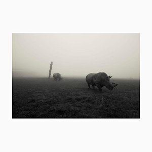 Rhinos In The Mist, 2014, Print