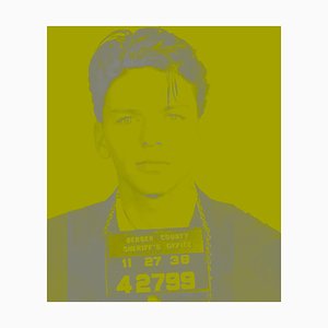 Paravent Idol, Frank Sinatra, 2023, Édition limitée signée Pop Art