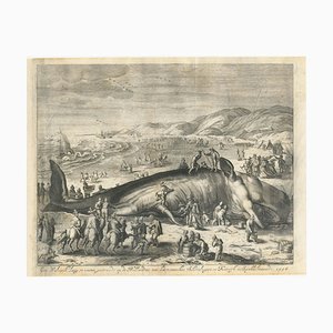 Un cachalote varado cerca de Scheveningen en 1598, 1700, Imprimir