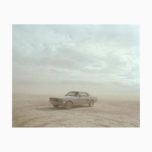 Samuel Hicks, Mustang, El Mirage, California, 2007, Chromogenic Print