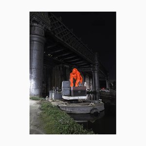 Liam Hopkins, Castlefield Gorilla, Fotodruck