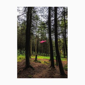 Liam Hopkins, Flying Shark 02, Photographic Print