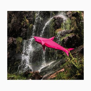 Liam Hopkins, Flying Shark 03, Photographic Print