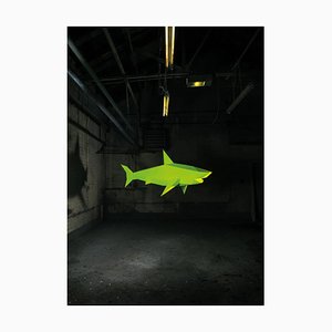 Liam Hopkins, Industry Shark 01, Lámina fotográfica