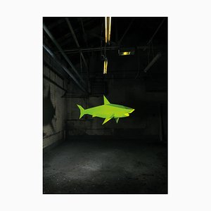 Liam Hopkins, Industry Shark 01, Photographic Print