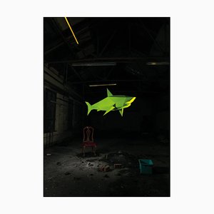 Liam Hopkins, Chaise Industry Shark, Impression photo