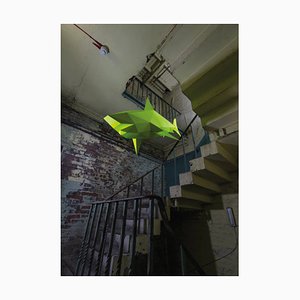 Liam Hopkins, Industry Shark Stairway, Photographic Print