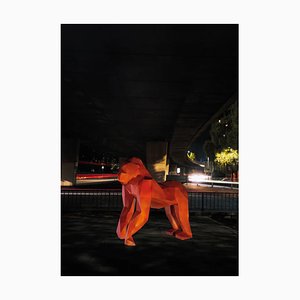Liam Hopkins, Mancunian Way Gorilla, Fotodruck