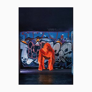 Liam Hopkins, Subway Gorilla, Photographic Print
