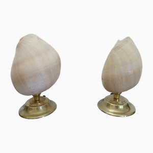 Lampen mit Muschel, 1980er, 2er Set