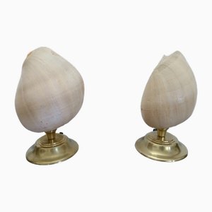 Lamps with Shell, 1980s, Set of 2