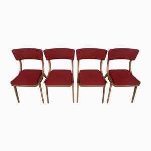 Sillas de comedor de Zakłady Mebli Giętych Radomsko, años 60. Juego de 4