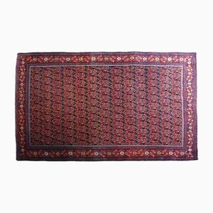 Middle Eastern Afshar Rug