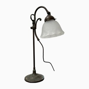 Vintage French Frosted Opaque Glass Bronze Adjustable Swan Neck Lamp Light