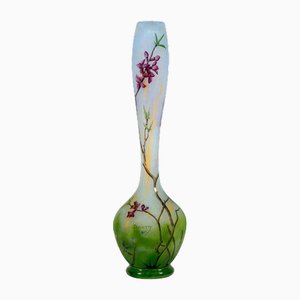 Vase Art Nouveau Camée à Long Col avec Décor Daphné, Daum Nancy, France, 1910/15, 1890s