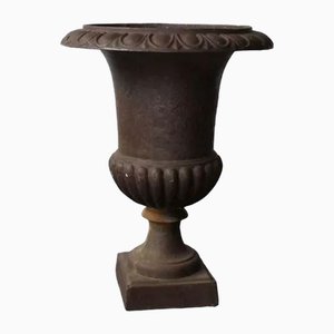 Cast Iron Urn Planter Campana, France