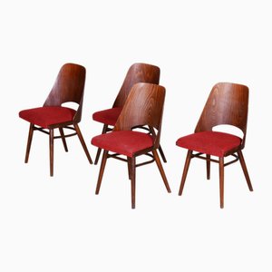 Mid-Century Dining Chairs attributed to Oswald Haerdtl, 1950s, Set of 4