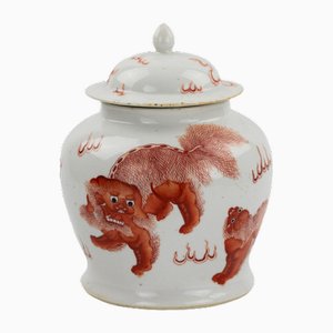Kangxi Period Chinese Porcelain Vase in Painted Iron Red Overglaze Dog Fo