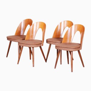 Mid-Century Walnut Dining Chairs attributed to Antonín Šuman, 1950s, Set of 4