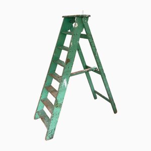 Farmers Ladder in Green, 1950s