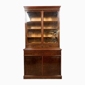 Cabinet with Concealed Secretary and Bookcase in Speckled Mahogany, 1850s