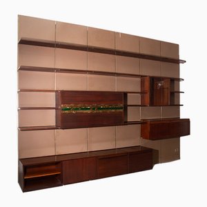 Wall Bookcase with Pomodoro Artwork by Osvaldo Borsani for Tecno, 1960s