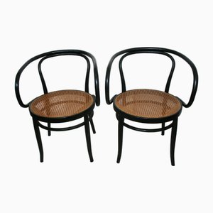 Set of Vintage Straw Beech Chairs by Michael Thonet, 1950
