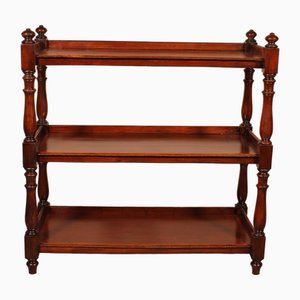 Early 19th Century Mahogany Server