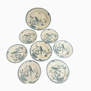 Servizio da dessert, set di 8