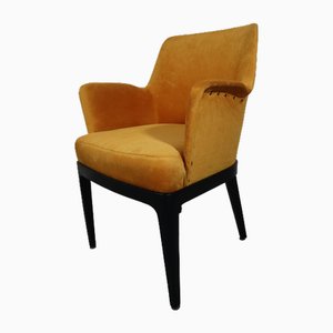 Brothers Armchair by Amedeo Cassina, 1950s