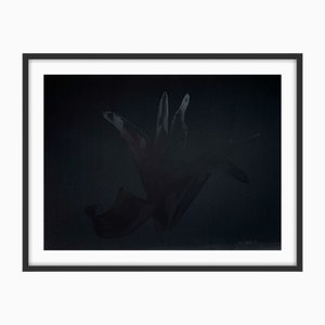 Czeslaw Czaplinski, Lily, 1995, Photographic Print