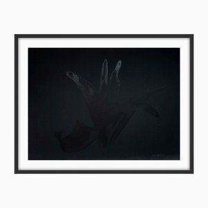 Lámina fotográfica Czeslaw Czaplinski, Lily, 1995