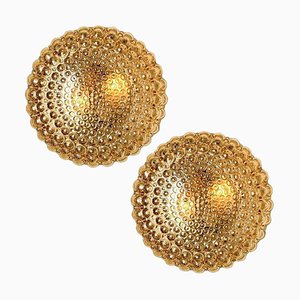 Amber Glass Wall Lights Sconces attributed to Helena Tynell for Glashütte Limburg, 1960s, Set of 2