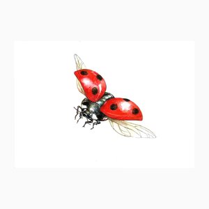 Juris Utāns, Flying Ladybug, 2000s, Mixed Media & Paper