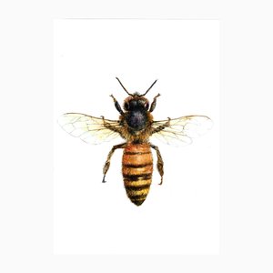 Juris Utāns, Bee from the Top, 2000s, Mixed Media & Paper