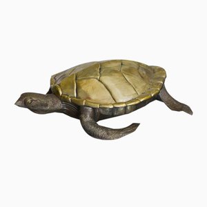 Schildkröten-Aufbewahrungsbox aus Messing