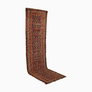 Malayer Rug in Cotton and Wool