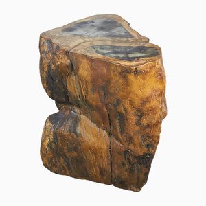 Table Basse en Bois Fossilisé, 1970s