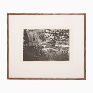 Norman Ackroyd, in der Nähe von Low Mill, Farndale, Etching