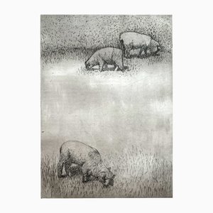 Krystyna Jaszke, Dolly (Sheep), Aguafuerte en papel, 2002
