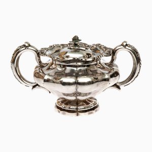 Silver Sugar Basin