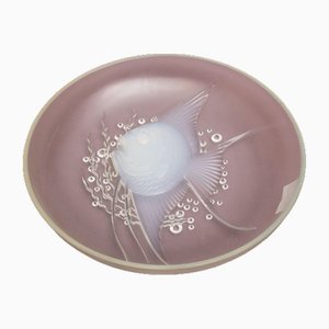 Plat Récipient en Verre, France