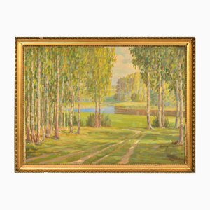 Landscape with a Birch Grove, Oil on Canvas, 20th Century