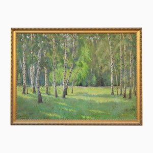 Landscape with Birches, Oil on Canvas, 20th Century, Framed