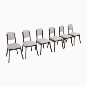 Gray Velvet Chairs by Angelo Mangiarotti for La Sorgente Del Mobile, 1970s, Set of 6